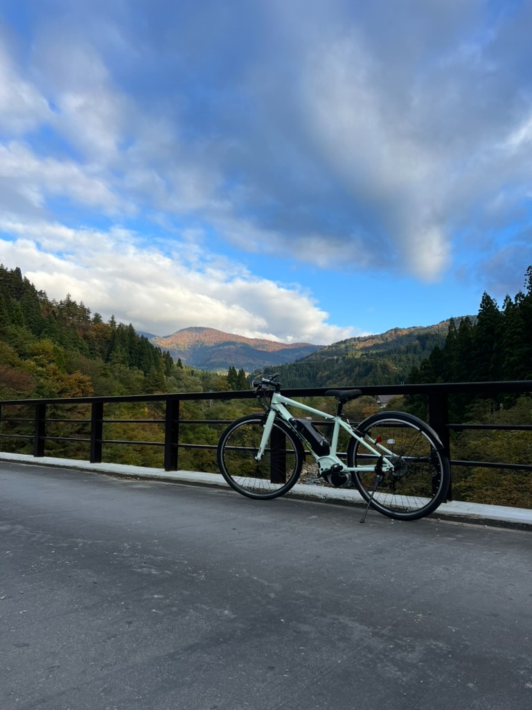 Custom E-Bike on Bridge