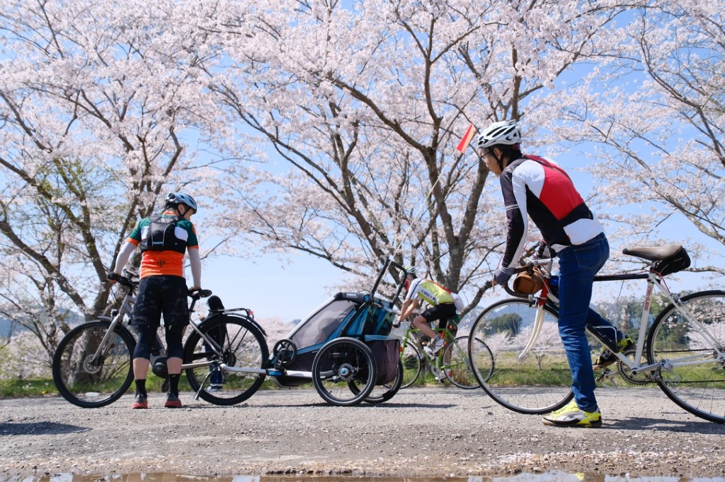 Sakura Tour